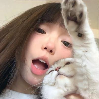 狐闹干探2